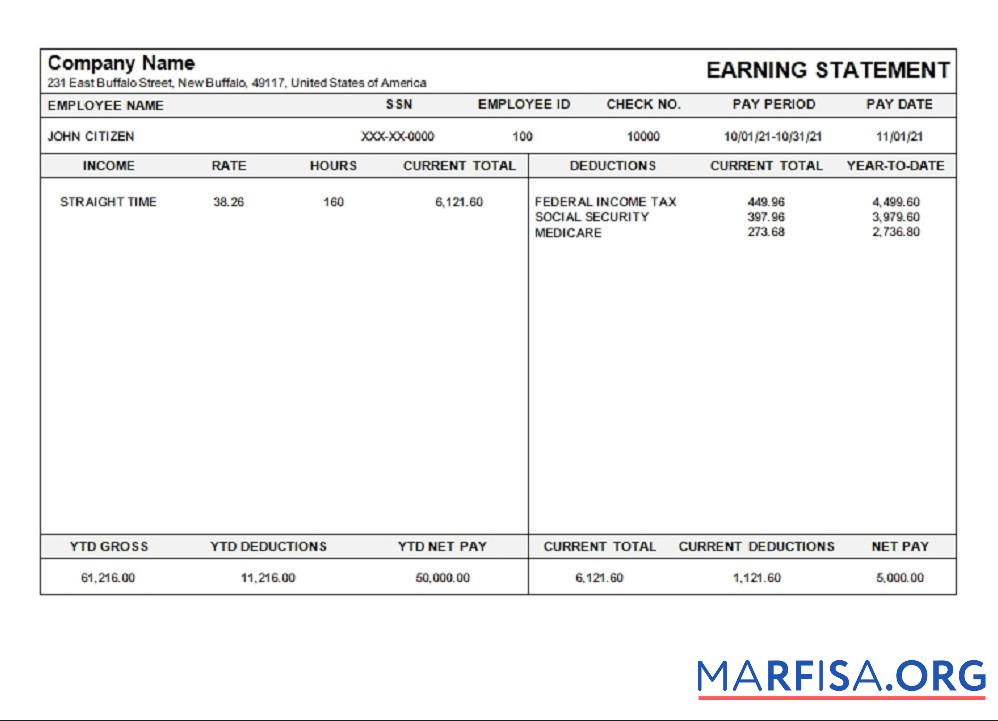 Printable USA Michigan pay stub sample